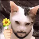 Stika