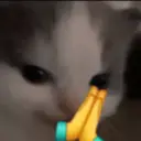 Stika