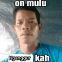 Stika