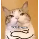 स्टिकर