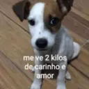 מדבקה
