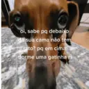 מדבקה