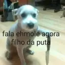 מדבקה