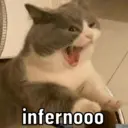 Límmiði