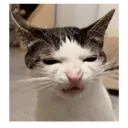 Límmiði