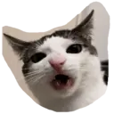 Límmiði