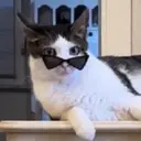 Límmiði