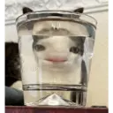 Límmiði