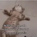 Stika