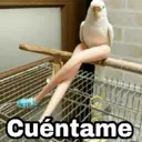 Çıkartma