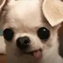 Samolepka