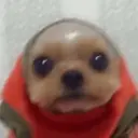 Samolepka