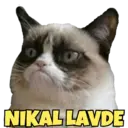 استیکر