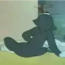 Adhesiu