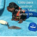 Figurinha