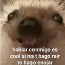 Stika