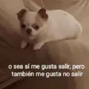 Stika