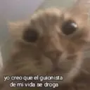 Stika
