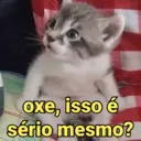 Stika