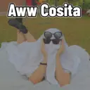 Adhesiu