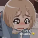 贴纸