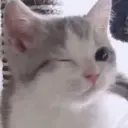 স্টিকার