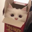 স্টিকার