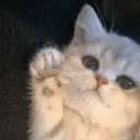 স্টিকার