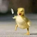 Pelekat