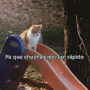 Stika