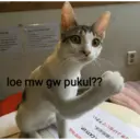 Límmiði