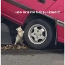 贴纸