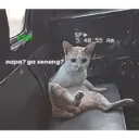 ਸਟਿਕਰ