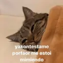 Налепница