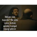 Stika