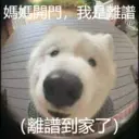 贴纸