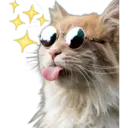 ਸਟਿਕਰ