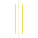 Adhesiu