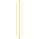 Adhesiu