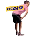 ਸਟਿਕਰ