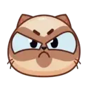 Կպչուն պիտակ