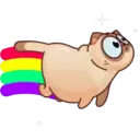 Կպչուն պիտակ