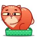 Կպչուն պիտակ