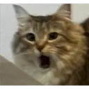 Stika