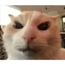 Stika