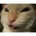 Stika
