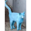 Stika