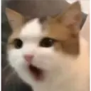 Stika