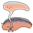 استیکر