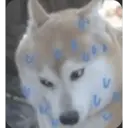 Стикер